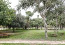 Móstoles licita las obras del nuevo puente del Parque Natural del Soto por 373.131 euros